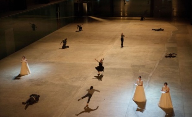 silver_swan_hugo_glendinning_1