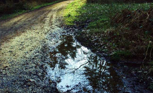 ???????????????????????????????