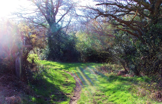 ???????????????????????????????