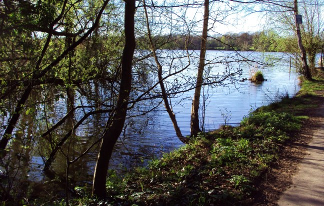 ???????????????????????????????